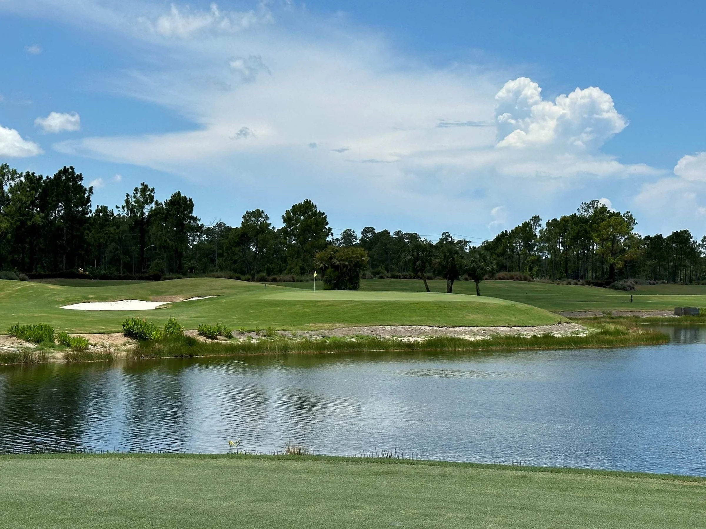 Course view