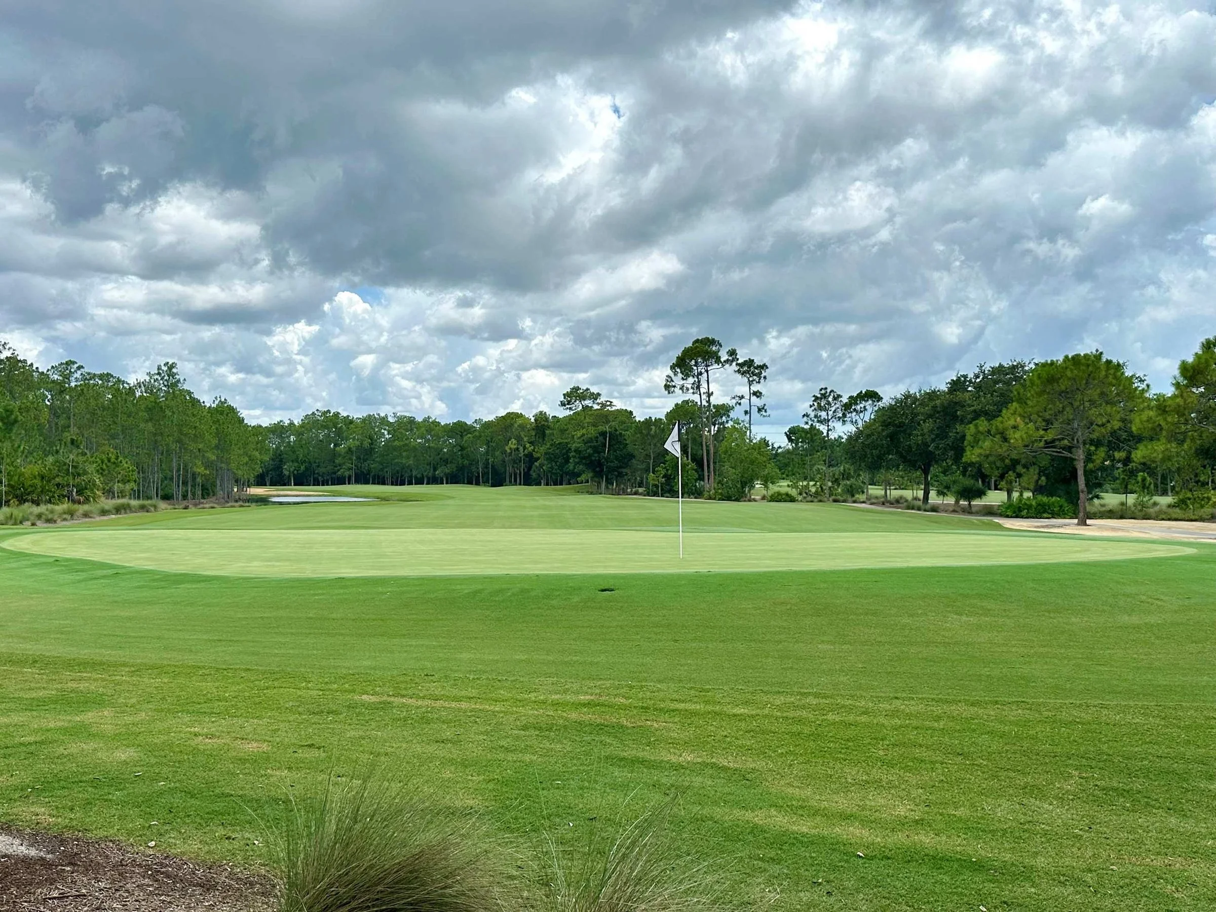 Tiburón fairway