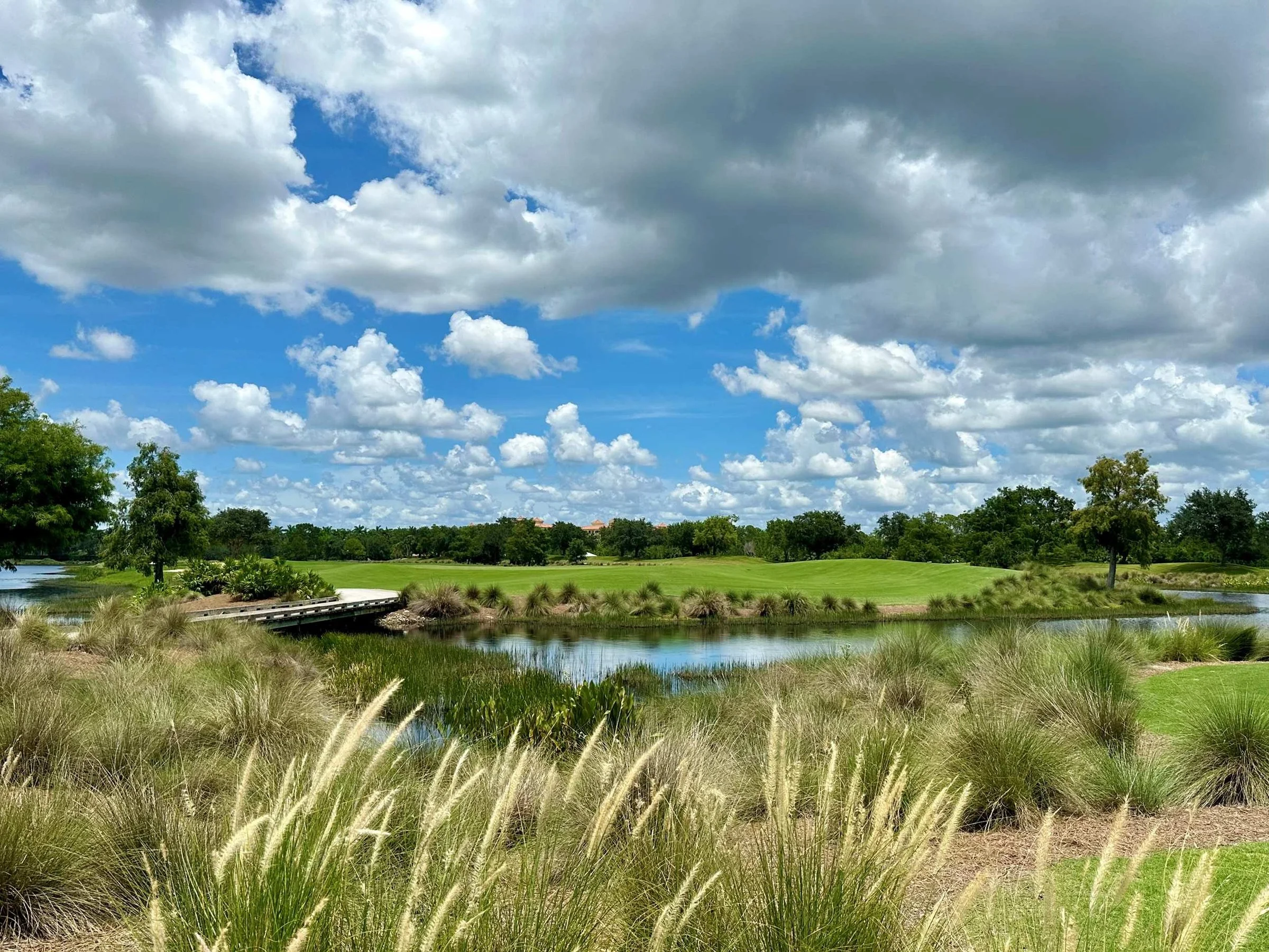 Tiburón landscape