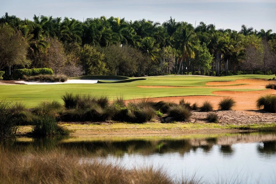 Tiburón Golf Club, scenic aerial view